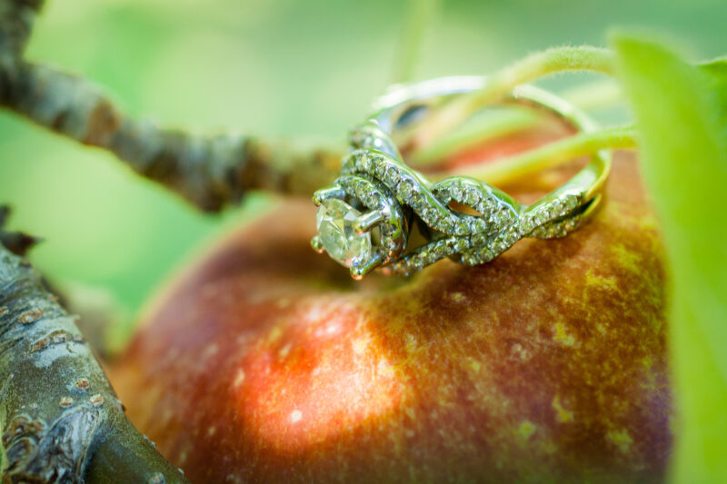 Rocky Brook Orchard Engagement, Reiman Photography
