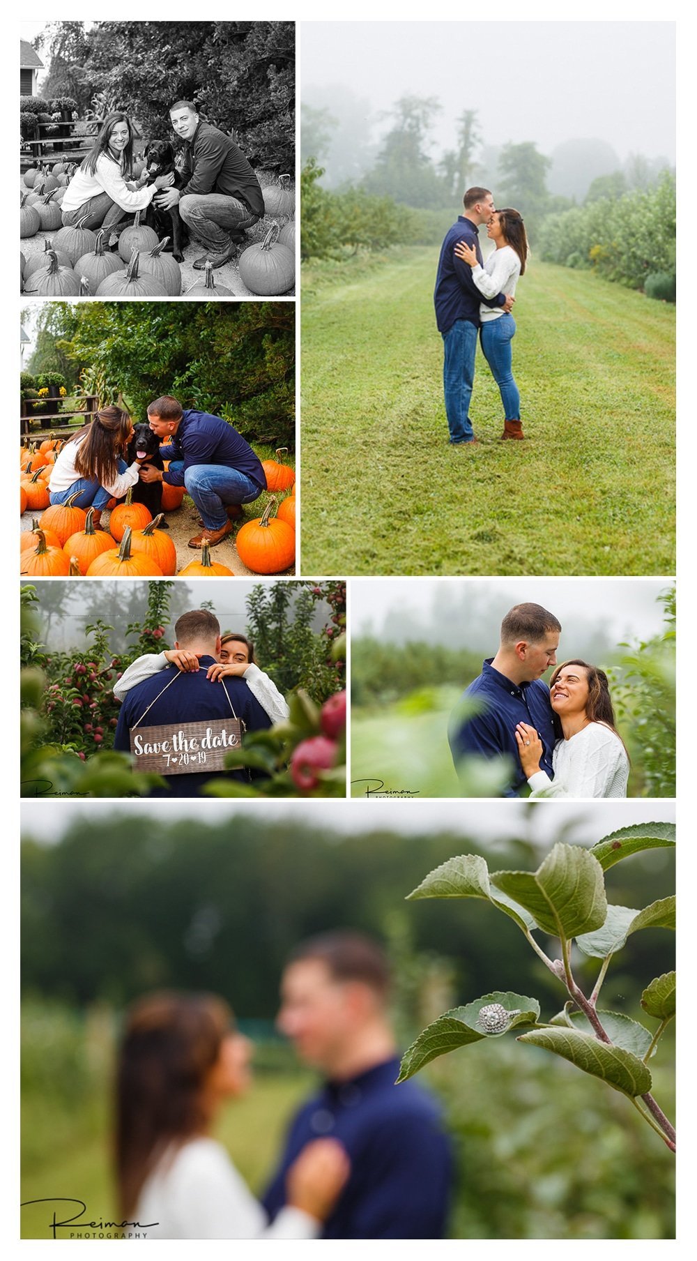 Woodstock Orchards, Engagement Session, Apple Orchard, Reiman Photography