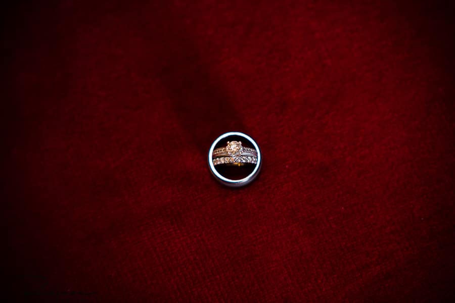 Harding Allen Estate, Wedding, Elegant, Reiman Photography