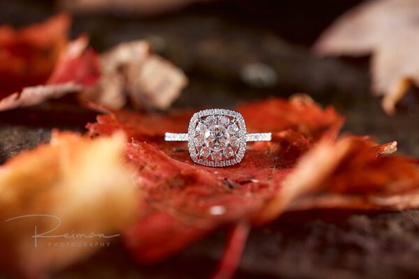 Engagement Photos, Engagement Session, Reiman Photography, Fall, Moore State Park