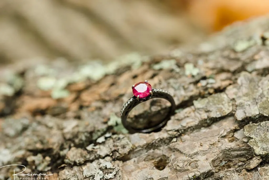 Engagement Session, Halloween, Fall, Reiman Photography