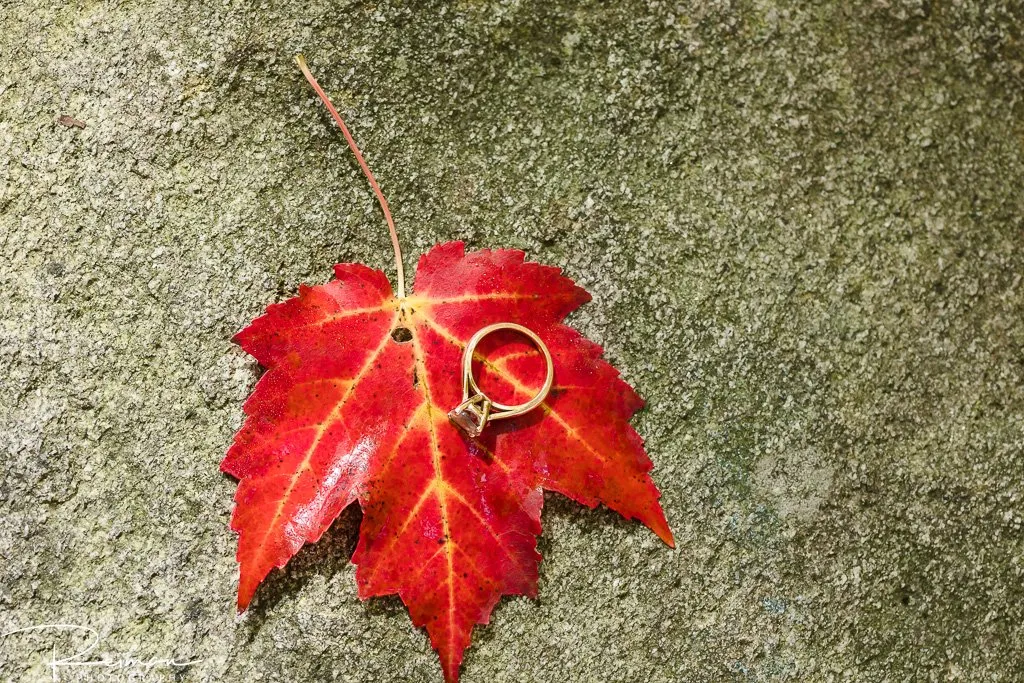 Mine Falls Park, New Hampshire, Reiman Photography, Engagement Session, Fall, Foliage