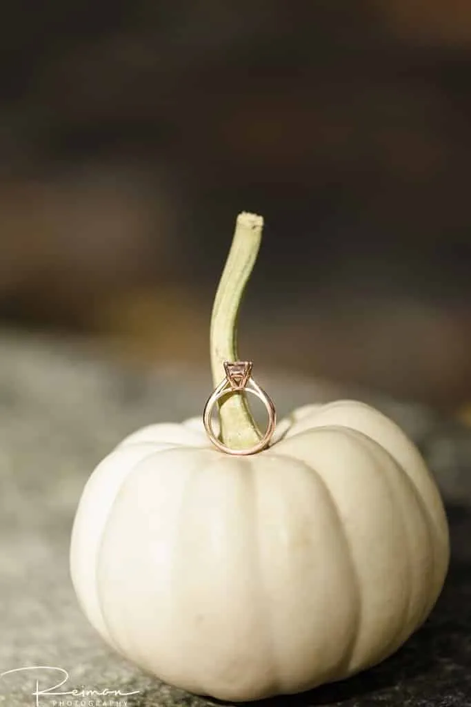 Mine Falls Park, New Hampshire, Reiman Photography, Engagement Session, Fall, Foliage