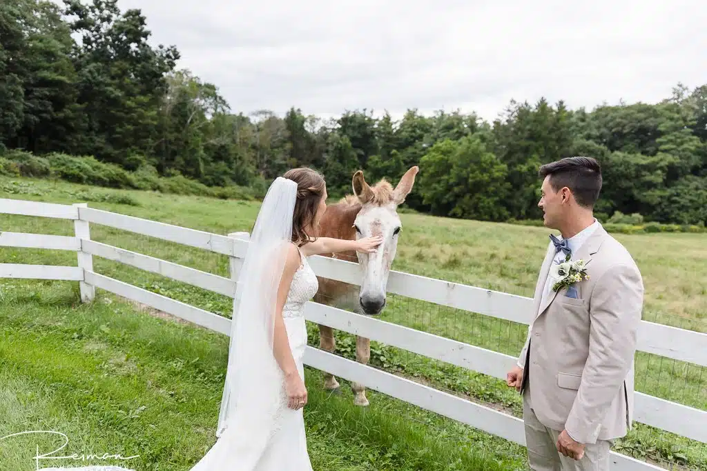 Peirce Farm at Witch Hill, Wedding, Wedding Photography, Wedding Photographer, Reiman Photography, Summer, Elegant